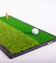 Dual turf driving strip