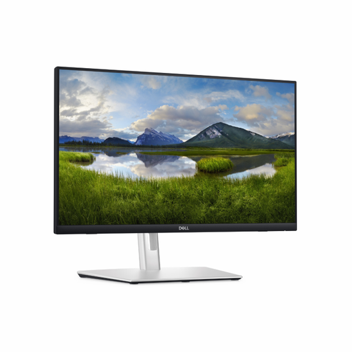 Dell 24" snertiskjár